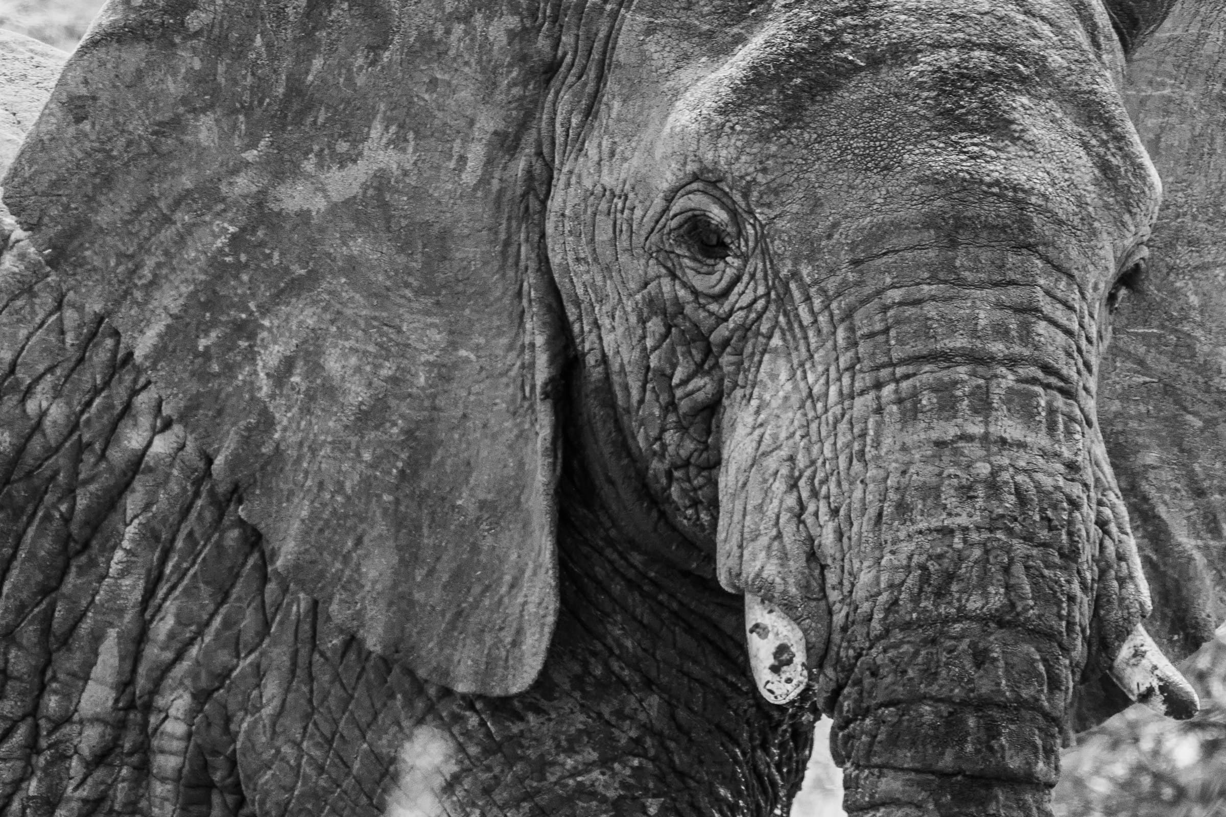 Samburu Sunrise Camp safari accommodation
